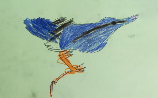 Bird artwork
