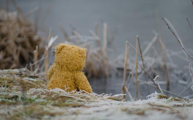 teddy bear sat in crepe paper