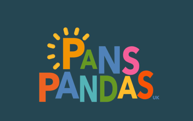 Pans Panda logo brightly coloured on a blue background