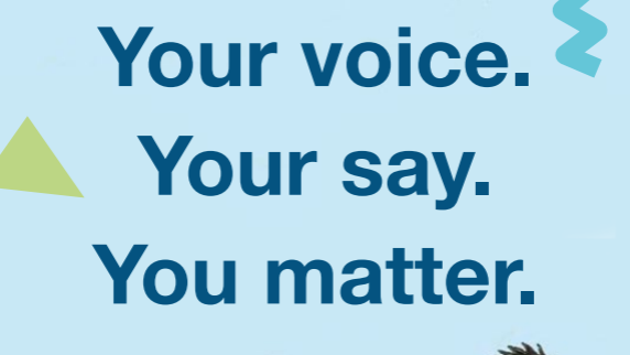 Your voice, your say front cover
