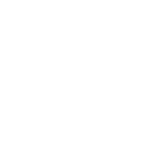 Social-Enterprise-White 1
